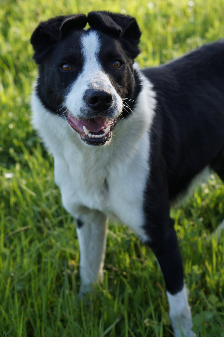 TAF ONE (Sans Affixe)